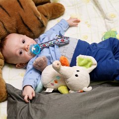 IMG 061
